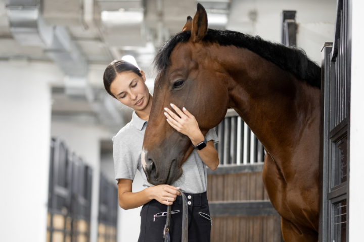 A woman gently petting a calm horse in a stable, showing how to prevent horse colic through care and bonding.