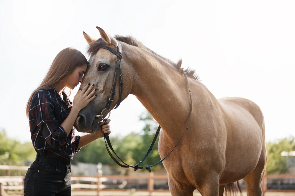 A woman calming a nervous horse by gently touching its face, showing how to calm a nervous horse through trust and connection