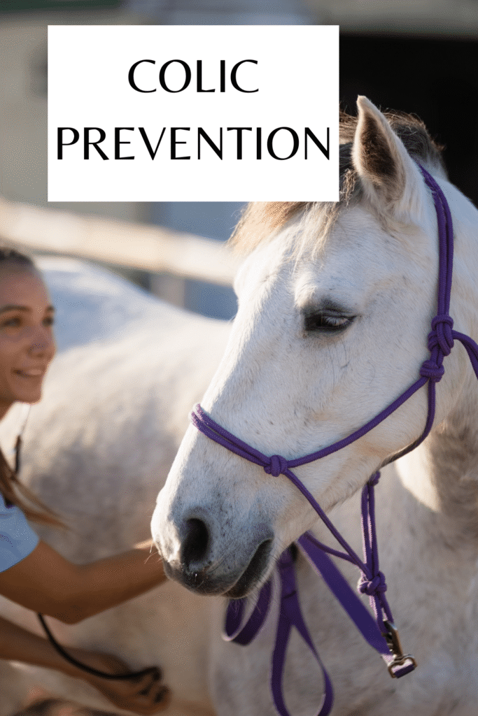 Horse being gently handled by a woman for colic prevention — proper care and daily attention are essential steps in how to prevent horse colic.